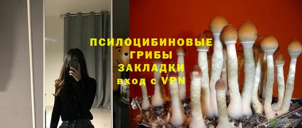 spice Верея