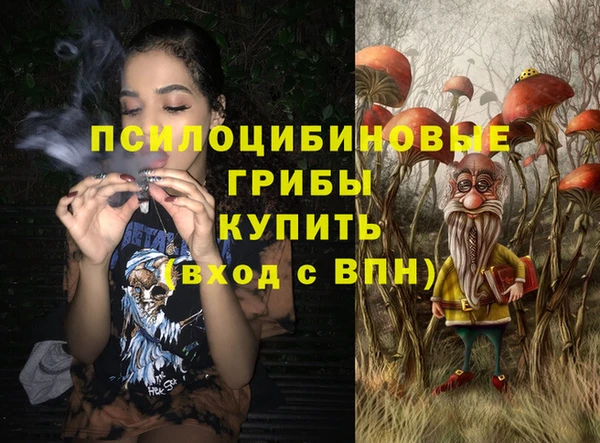хмурый Сатка