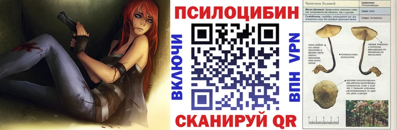 Псилоцибиновые грибы мицелий Курск